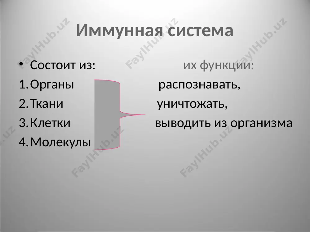 ичного ио: на i стадии ( 3-4 суток) ат к соответствующему аг в сыворотке отсутствуют. на ii стадии появляются igm и спустя 10-14 сут после контакта с аг – igg. на iii стадии уровень ат постоянный. iv стадия первичного иммуного ответа растягивается на месяцы с постепенным снижением уровня ат. особенности ис детского возраста: формирование центральных и периферических органов иммунопоэза начинается с первых недель внутриутробного развития. на 4 неделе гестации закладывается тимус, его формирование длится в течение 7-12 недель. т-лимфоциты появляются в тимусе плода на 12 неделе внутриутробной жизни, между 12 и 16 нед. появляются т-супрессоры и т-хелперы. формирование костного мозга у эмбриона регистрируется с 7-8 недели гестации параллельно образованию хрящевого скелета. рудимент селезенки появляется на 5 неделе гестации, ее заселение лимфоцитами заканчивается к 11 неделе. на 3 мес. жизни эмбриона селезенка становится его кроветворным органом, приобретая максимальную лимфопоэтическую активность к 5мес. к 17-18 нед. беременности клетки селезенки самостоятельно синтезируют igg, …