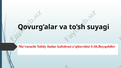 qovurg’alar — PPTX