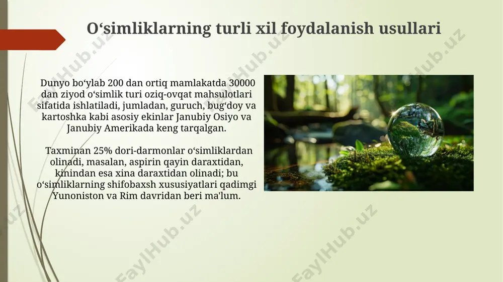 o‘simliklarning inson va biosferada tutgan o‘rni va muhofazasi - Page 4
