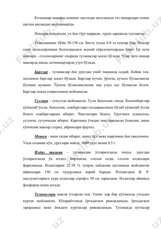 ганаклар юзасида унча катта бўлмаган оч тусли бўртмалар жойлашган, улар орқали туганакларни нафас олиши ва намликни буғланиши содир бўлади. туганакда крахмал 12 дан 25 % сақланади айрим ҳолларда 29 % етиши мумкин. хураки навларда одатда крахмал 13-16 %, заводбоп навларда 18% баъзан 20 % етади. кечки навларда крахмал миқдори энг кўп бўлади. тугакаклардаги крахмал миқдори картошкани озиқ-овқат сифатида ишлатишдаги асосий кўрсаткич. туганакдаги крахмал миқдори ортиши билан мағизнинг унсимонлиги кўпаяди, пишиши яхшиланади. озиқ-овқат саноатида қайта ишлаш учун таркибида қуруқ модда миқдори 20 % кам бўлмаган ва эрийдиган қандлар 0,1-0,4 % бўлган навлар талаб қилинади. консервалаш учун туганакларида қуруқ модда миқдори кам бўлган навлар ҳам яроқли. туганаклар таркибига кам миқдорда гликоалколоид соланин ҳам киради. соғлом туганакларда унинг миқдори 2-10 мг 100 г массада бўлади. бундай миқдордаги алкалоид одам ва ҳайвон органмзмига зарарли таъсир кўрсатмайди. ёруғда туганаклар яшил тусга киради ва таркибидаги соланин миқдори ортиб мазаси аччиқ бўлади. у туганак пустида мағзига нисбатан …
