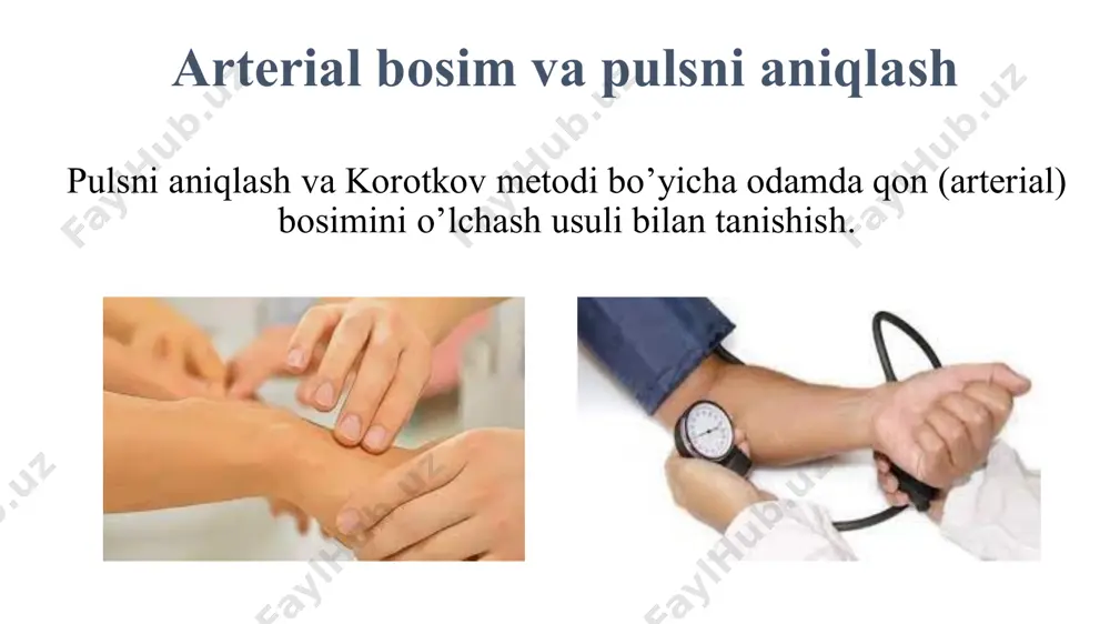 arterial bosim va pulsni aniqlash - Page 3