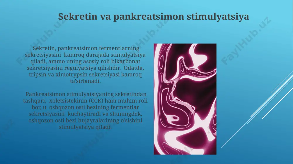 hazm qilish jarayonining endokrin boshqariluvi - Page 3