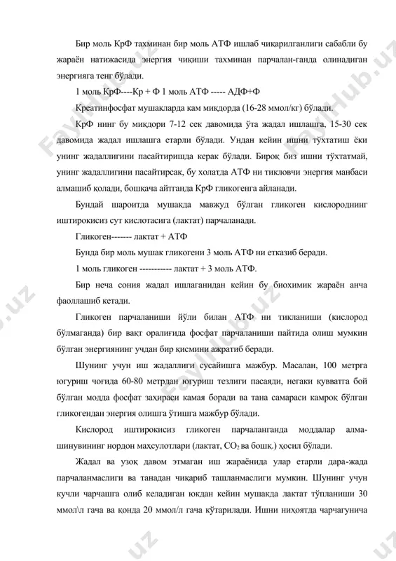 ланадиган жойни) анча бўшаб қолишига олиб келади. кўрсатиб ўтилган биохимик жараёнлар деярли кислороднинг иштирокисиз рўй беради, шунинг учун уларни анаэроб (кислородсиз) деб юритилади. атф ни крф парчаланишидаги қувват ҳисобига тикланиш жараёни анаэроб-алактат (лактат ҳосил бўлмайдиган) деб номланади, атф ни гликоген парчаланиши ҳисобига тикланиши анаэроб-лактатли (лактат ҳосил бўладиган) деб юритилади. аэроб энергия манбаи гликоген фақат сут кислотасигина парчаланмайди, балки о2 иштироки билан сувга (н2о) ҳам парчаланади ва ис гази (со2) бунда атф ресинтези учун энергия ажратади. гликоген о2--------------н2о+со2+атф кислород иштироки билан углевод ёнишининг бу йўли энергия олишнинг анаэроб йўли деб юритилади. бунда бир моль гликоген 39 моль атф ни етказиб беради. атф ни тиклашнинг бу йўли кислород иштирокисиз гликоген парчаланишига қараганда деярли 13 марта самаралироқдир. 5 дақиқа атрофида давом этадиган жадал юкда 50% энергия анаэроб, 50 энергия аэроб йўли билан ҳосил қилинади. агар жадал юк давомийлиги 5 дақиқадан кам бўлса, унда анаэроб жараёнларининг устунлиги сезилади, агар 5 дақиқадан ортиқ бўлса, анаэроб …