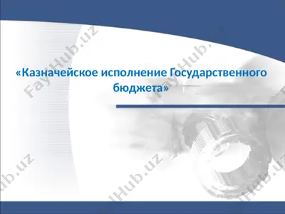 казначейское исполнение государственного бюджета — PPTX