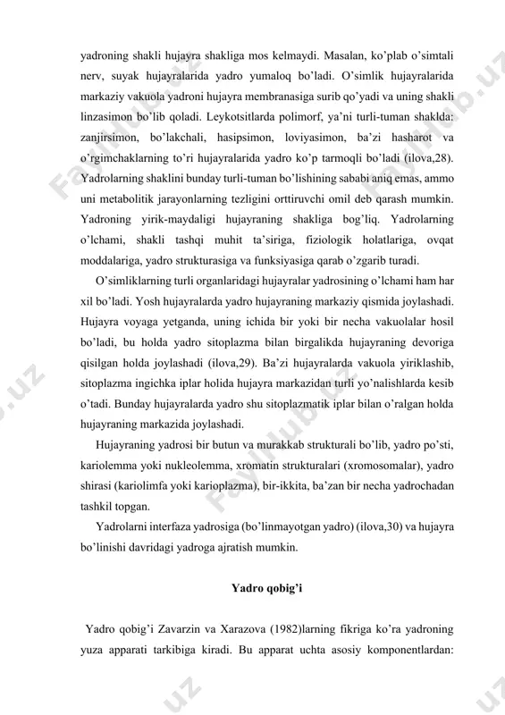 funksiyasiga qarab o’zgarib turadi. o’simliklarning turli organlaridagi hujayralar yadrosining o’lchami ham har xil bo’ladi. yosh hujayralarda yadro hujayraning markaziy qismida joylashadi. hujayra voyaga yetganda, uning ichida bir yoki bir necha vakuolalar hosil bo’ladi, bu holda yadro sitoplazma bilan birgalikda hujayraning devoriga qisilgan holda joylashadi (ilova,29). ba’zi hujayralarda vakuola yiriklashib, sitoplazma ingichka iplar holida hujayra markazidan turli yo’nalishlarda kesib o’tadi. bunday hujayralarda yadro shu sitoplazmatik iplar bilan o’ralgan holda hujayraning markazida joylashadi. hujayraning yadrosi bir butun va murakkab strukturali bo’lib, yadro po’sti, kariolemma yoki nukleolemma, xromatin strukturalari (xromosomalar), yadro shirasi (kariolimfa yoki karioplazma), bir-ikkita, ba’zan bir necha yadrochadan tashkil topgan. yadrolarni interfaza yadrosiga (bo’linmayotgan yadro) (ilova,30) va hujayra bo’linishi davridagi yadroga ajratish mumkin. yadro qobig’i yadro qobig’i zavarzin va xarazova (1982)larning fikriga ko’ra yadroning yuza apparati tarkibiga kiradi. bu apparat uchta asosiy komponentlardan: yadro qobig’i, periferik zich plastinka va pora kompleksidan tuzilgan. yadro qobig’i sitoplazmaning umumiy sitoplazma membranali sistemasining ixtisoslashgan qismi …