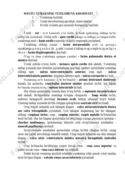 yurakning tuzilishi va ahmiyati — PDF