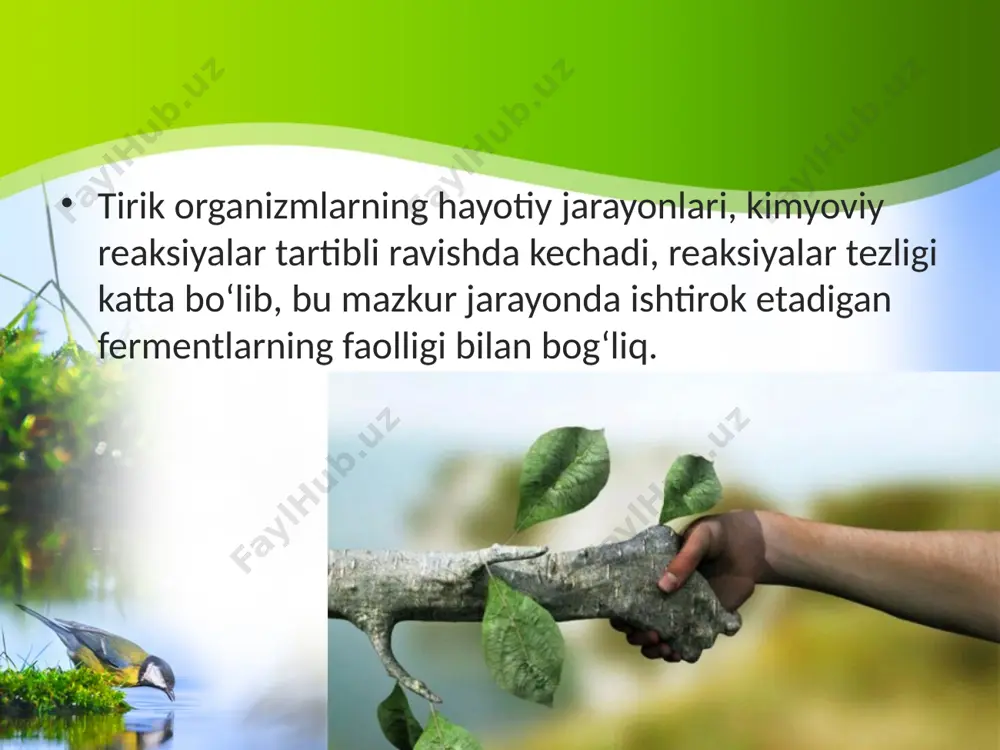 biosferadagi tirik moddaning xususiyatlari va funksiyalari. 11 - sinf - Page 5