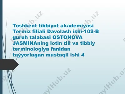antik davr texnologiyalari — PPTX