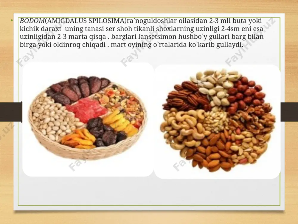 ari xalqimiz tomonidan sevib istye’mol qilinadi. ra’nodoshlar oilasi vakillarining ko’pchiligidan turli-tuman maqsadlarda foydalaniladi. masalan olma, o’rik, nok va shu kabi turli mevalardan oziq-ovqat sifatida, danakli mevalarining mag’zidan turli xil moylar olishda va tabobatda keng qo’llaniladi. e’tiboringiz uchun raxmat!!! image7.jpeg image8.jpeg image9.jpeg image10.jpeg image11.jpeg image12.jpeg image13.jpeg image14.jpeg image15.jpeg image16.jpeg image17.jpeg image18.jpeg image19.jpeg image20.jpeg image21.jpeg image22.jpeg image23.jpeg image24.jpeg image25.jpeg image26.jpeg image27.jpeg image28.jpeg image29.jpeg image30.jpeg image31.jpeg image32.jpeg image33.jpeg image34.jpeg image35.jpeg image3.png image4.png