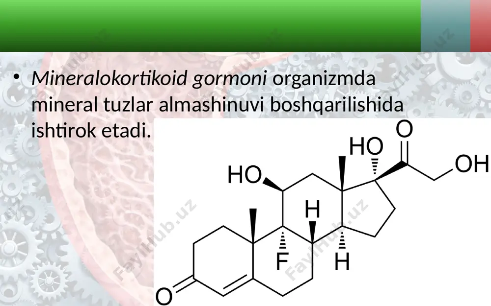 buyrakusti, me’daosti va jinsiy bezlar. 8 - sinf - Page 4