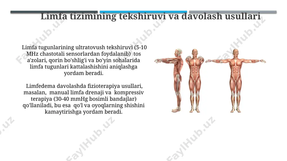 limfa aylanishi tizimining anatomik tuzilishi - Page 4