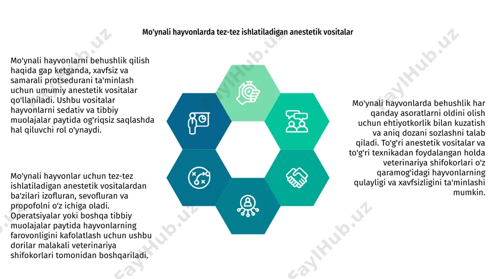 h parvarishi mo'ynali hayvonlar uchun behushlik ularning tibbiy yordamining muhim qismidir. qayta tiklash davrida to'g'ri monitoring va parvarish ularning farovonligi uchun muhimdir. anesteziyadan so'ng, mo'ynali hayvonlar tiklanish uchun issiq, sokin muhitga muhtoj. ularning hayotiy belgilarini kuzatish va muammosiz uyg'onishlarini ta'minlash ularning xavfsizligi uchun juda muhimdir. anesteziyadan keyingi parvarish asoratlarning har qanday belgilarini kuzatishni, kerak bo'lganda og'riqni boshqarishni va mo'ynali hayvonga oziq-ovqat va suvni asta-sekin qayta kiritishni o'z ichiga oladi. mo'ynali hayvonlarda inhalant behushlik mo'ynali hayvonlarda behushlik protseduralar davomida xavfsizligini ta'minlash uchun muhimdir. ushbu hayvonlarda odatda inhalant anesteziya qo'llaniladi, chunki u behushlik chuqurligini aniq nazorat qilish imkonini beradi. 01 mo'ynali hayvonlar jarrohlik, tishlarni tozalash va diagnostik tasvirlash kabi protseduralar uchun behushlik talab qilishi mumkin. nafas olish anesteziyasi bu hayvonlarda stressni minimallashtirib, silliq indüksiya va tiklanishni ta'minlaydi. 03 02 nafas olish anesteziyasi paytida mo'ynali hayvonlar niqob yoki endotrakeal naycha orqali yuboriladigan gaz yoki uchuvchi suyuqlik yordamida behushlik qilishadi. bu usul har bir …