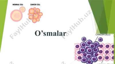 o’smalar — PPTX