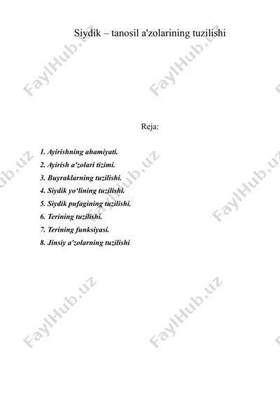 siydik – tanosil a'zolarining tuzilishi — DOC