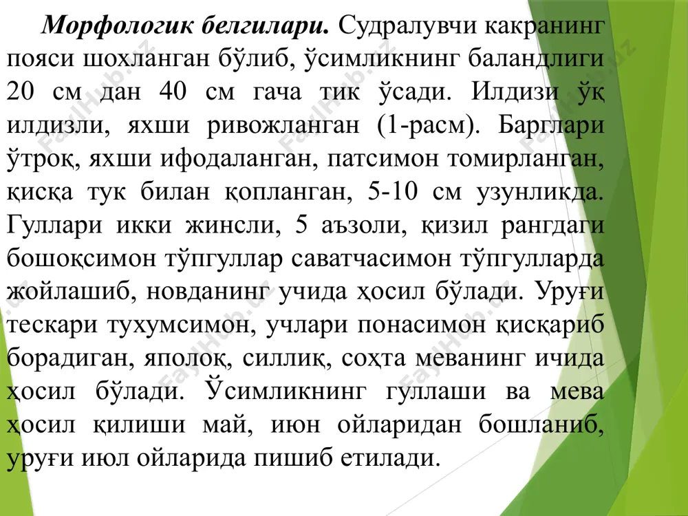рининг ҳосилининг йиғиш пайтига тўғри келади. 4-расм. судралувчи какранинг саватча тўп гули. экологияси. судралувчи какра енгил ва оғир лойли тупроқларда яхши ўсади, тупроқ шўрланишига ҳам чидай олади. у қурғоқчилик иқлимда ва ёғин миқдори қариб 200-375 мм ни ташкил этувчи ярим чўл минтақаларида ҳам ривожлана олади. судралувчи какра -юқори рақобатбардош ўсимлик шу боис фитоценозда у одатда доминантлик қилади. ҳаётий шакли. илдиз бачкилий кўп йиллик ўт, гемикриптофит. зарари. судралувчи какра -ҳаддан ташқа кучли зарар кетирувчи бегона ўт. у экинларнинг ҳосилдорлиги ва сифатини, паст тексликларнинг маҳсулдорлигини пасайтиради. судралувчи какра уруғи билан ифлосланган дон қайта ишланганда у аччиқ тамли бўлиб қолади. судралувчи какра ўсимлигида кўплаб алколоидлар тўпланади, шу боис у билан ифлосланган пичан билан боқилган қишлоқ хўжалиги ҳайвонларида заҳарланишлар юзага келади. какрали пичан айниқса отлар учун хавфлидир. у сигир сутининг тамини кескин бузади. судралувчи какра бутунлай йўқ қилиниши жуда қийин бўлган ва кўпгина мамлакатларда ( рассия, украина, қозоқистон, ақш ва бошқалар) карантин бегона ўтлари …
