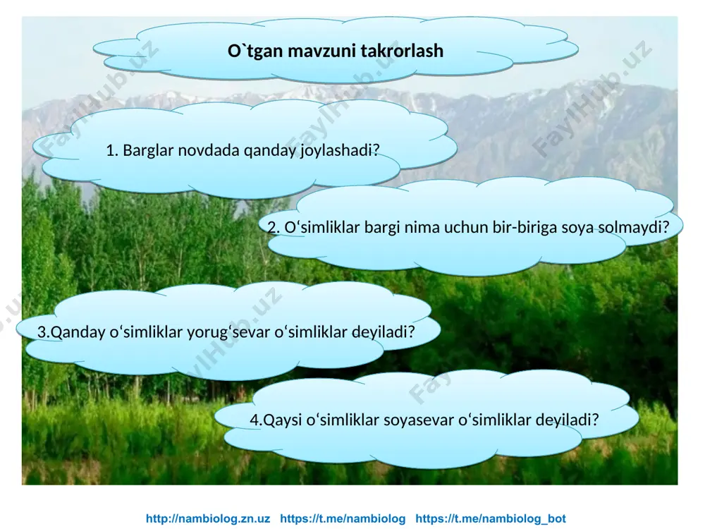 n talabini inobatga olish zarur.bog‘lar barpo etishda va dehqonchilikda har bir o‘simlik yetarli darajada yorug‘lik tushadigan qilib joylashtiriladi. respublikamizda ekiladigan g‘o‘za yorug‘ni ko‘p talab qi ladi. shuning uchun ham g‘o‘za o‘zbekistonda katta maydonlarga keng qatorlab, ma’lum oraliqda ekiladi. http://nambiolog.zn.uz https://t.me/nambiolog https://t.me/nambiolog_bot 1. fotosintez nima? 3.fotosintez jarayonida barglarda qanday gaz o‘zlashtiriladi? 2.organik moddalar hosil bo‘lishi jarayonida nimalar ishtirok etadi? 4.fotosintez jarayonida barglarda qanday gaz ajralib chiqadi? yangi mavzuni mustahkamlash 5. o‘simliklar hayotida yorug‘lik qanday ahamiyatga ega? 6.issiqxonalarda hosil yetishtirish uchun qanday sharoit yaratiladi? http://nambiolog.zn.uz https://t.me/nambiolog https://t.me/nambiolog_bot qorong‘i joyda ikki-uch kun saqlangan o‘simlik bargini va yorug‘da o‘sib turgan o‘simlikning usti bir parcha qora qog‘oz bilan berkitilgan bargini oling. ularni spirtga solib, rangsizlantiring. rangsizlantirilgan barglarni suv bilan yuvib, likopchalarga qo‘ying va ustiga yod eritmasidan tomizing . ochiq barglar va usti qora qog‘oz bilan berkitilgan bargning qismlari qanday rangga kirishini diqqat bilan kuzating. bu tajribadan xulosa chiqaring. topshiriq http://nambiolog.zn.uz https://t.me/nambiolog https://t.me/nambiolog_bot http://nambiolog.zn.uz https://t.me/nambiolog https://t.me/nambiolog_bot …