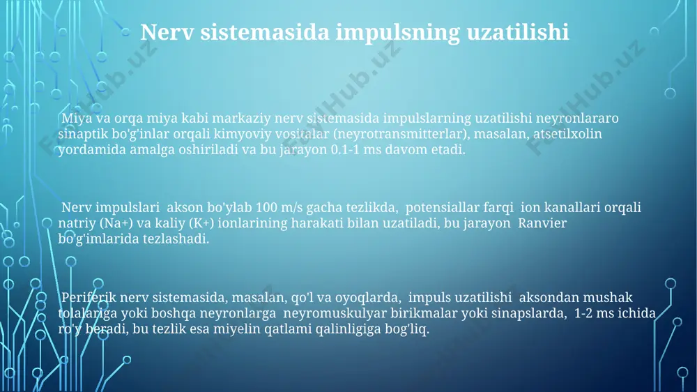 nerv sistemasining oʻtkazuvchanligi - Page 3