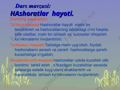 hashoratlar hayoti dars ishlanma — ZIP