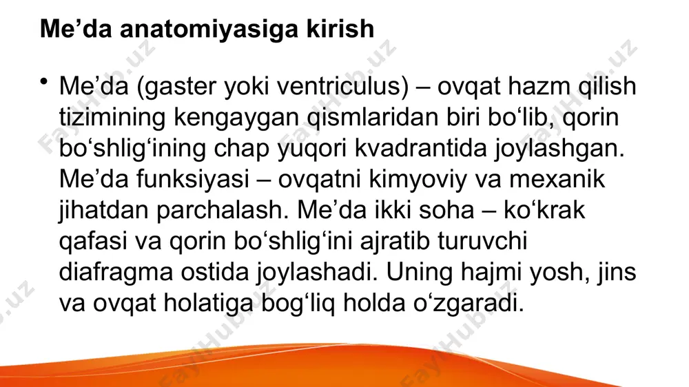 qorin bo'shlig'i a'zolari.me'da anatomiyasi - Page 5