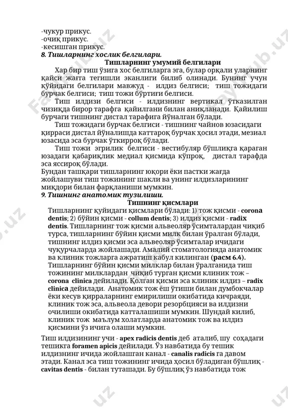 хар бир тиш ўзига хос белгиларга эга, булар орқали уларнинг қайси жағга тегишли эканлиги билиб олинади. бунинг учун қўйидаги белгилари мавжуд - илдиз белгиси; тиш тожидаги бурчак белгиси; тиш тожи бўртиғи белгиси. тиш илдизи белгиси - илдизнинг вертикал ўтказилган чизиқда бирор тарафга қайилгани билан аниқланади. қайилиш бурчаги тишнинг дистал тарафига йўналган бўлади. тиш тожидаги бурчак белгиси - тишнинг чайнов юзасидаги қирраси дистал йўналишда каттароқ бурчак ҳосил этади, мезиал юзасида эса бурчак ўткирроқ бўлади. тиш тожи эгрилик белгиси - вестибуляр бўшлиқга қараган юзадаги қабариқлик медиал қисмида кўпроқ, дистал тарафда эса яссироқ бўлади. бундан ташқари тишларнинг юқори ёки пастки жағда жойлашуви тиш тожининг шакли ва унинг илдизларининг миқдори билан фарқланиши мумкин. 9. тишнинг анатомик тузилиши. тишнинг қисмлари тишларнинг қуйидаги қисмлари бўлади: 1) тож қисми - coronа dentis; 2) бўйин қисми - collum dentis; 3) илдиз қисми - radiх dentis. тишларнинг тож қисми альвеоляр ўсимталардан чиқиб турса, тишларнинг бўйин қисми милк билан ўралган …