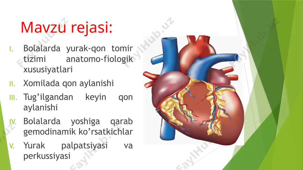 sa qo’ltiq ostiga iv-vii qovurg’a sohasiga qoyiladi yurak cho’qqi turtkisini aniqlash turtkini his qilgandan so’ng (ushbu turtki yurak cho’qqi tutkisi hisoblanadi),qo’lni 90 gradusga burish va 3 ta bukilgan barmoqlarning yumshoq uchlari bilan uning xususiyatlari aniqlash kerak joylashishi diametri balandligi kuchi rezistentligi yurak turtkisi borligi aniqlash yurak turtkisi-o’ng qorinchada yuzaga keladigon zarb to’lqinlarini aks ettiradi. to’sh suyagining chap tomonida iii, iv va v- qovurg’a oralig’iga bukilgan barmoq yostiqchalari qo’yiladi va o’ng qorinchaning sistolik turtkisini aniqlashga harakat qilinadi tekshirish aniqligi oshirish un bemordan nafas chiqarib ,ma’lum vaqt nafas olmay turishi iltimos qilinadi turtki aniqlansa , uning balandligi va kuchi baholanadi. tnank you very much for your attention! image1.jpg image2.jpg image3.jpg image4.jpg image5.jpg image6.jpg image7.jpg image8.jpg image9.jpg image10.jpg image11.jpg image12.jpg image13.jpg image14.jpg image15.jpg image16.jpg image17.jpg image18.jpg image19.jpg image20.jpg image21.jpg image22.jpg image23.jpg image24.jpg /docprops/thumbnail.jpeg