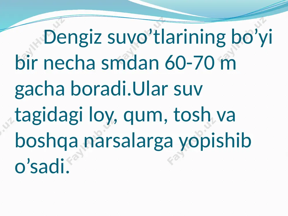 dengiz suvo’tlari - Page 2