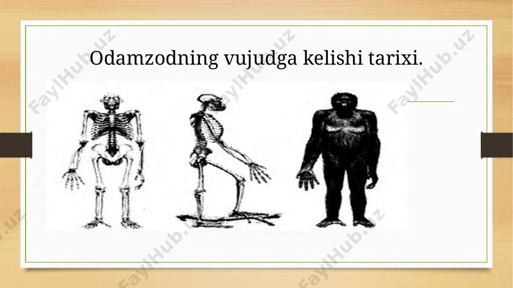 anligi yorqin misol bo‘la oladi. xix asrda yer shari aholisi jadal sur’atda ko‘payib borgan. ona zaminda istiqomat qilayotgan odamlar soni 3 mlrd.dan oshgan, yoki amalda 3 baravarga ko‘paygan. bunda lotin amerikasi (6,1 marta) va afrika mamlakatlarida (4,7 marta) ko‘paygan bo‘lsa, yevropa aholisi (1,7 marta) va sobiq sssr aholisi (2,1 marta) nisbatan kam ko‘paygan. e’tiboringiz uchun rahmat. image5.png image6.png image7.png image8.png image9.png image3.png image4.png /docprops/thumbnail.jpeg