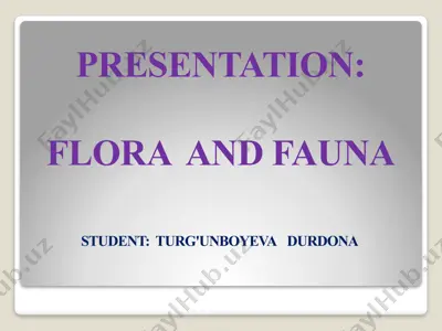 flora and fauna around touristic sights in khorezm and karakalpakstan — PPTX