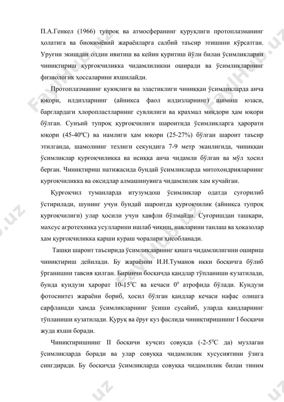 лашса, шикастланмайди, юза бўлса шикастланиши кузатилган. бўғимларни чуқурроқда жойлашиши тупроқ намлигини яхши ўзлаштиришга ёрдам беради, илдизнинг ер ости ва ер усти қисмининг тез ривожланишига олиб келади. совуққа чидамлилик навларнинг келиб чиқишига боғлиқ. масалан, шарқдан келиб чиққан навларнинг, совуққа чидамлилиги ғарбдан келиб чиққан навларникига қараганда юқори бўлади. сабзавот кўчатлари икки ҳафта давомида 00с дан юқорироқ ҳароратда ўстирилади. бунда кўчатлар чиниқади, натижада совуқ таъсирига чидамли бўлади. паст ҳароратга чидамлилик деб, ўсимликларнинг паст ҳароратни (3-50с) ўташи тушунилади. бодринг, қовоқ, ловия ўсимликларини чиниқтириш мумкин эмас, чунки юқорида кўрсатилган ҳароратда бир неча кунда нобуд бўлади. айниқса, шоли, ғўза ва полиз экинлари учун бир сутка давомида ҳарорат 00 + 50с бўлса, ўсимликлар дарҳол нобуд бўлмай, олдин тургор ҳолатини йўқотади, баргларида қўнғир доғлар пайдо бўлади, чунки хлорофиллнинг парчаланиши бунга сабаб бўлади. ўсимликларнинг нобуд бўлишига асосий сабаб протоплазманинг ёпишқоқлиги ва моддалар алмашинувининг бузилишидир. синтетик жараёнлар сусайиб, оқсилларнинг парчаланиши ва аммиак ҳосил бўлиши натижасида содир бўлади ўсимликларнинг қишга чидамлилиги …