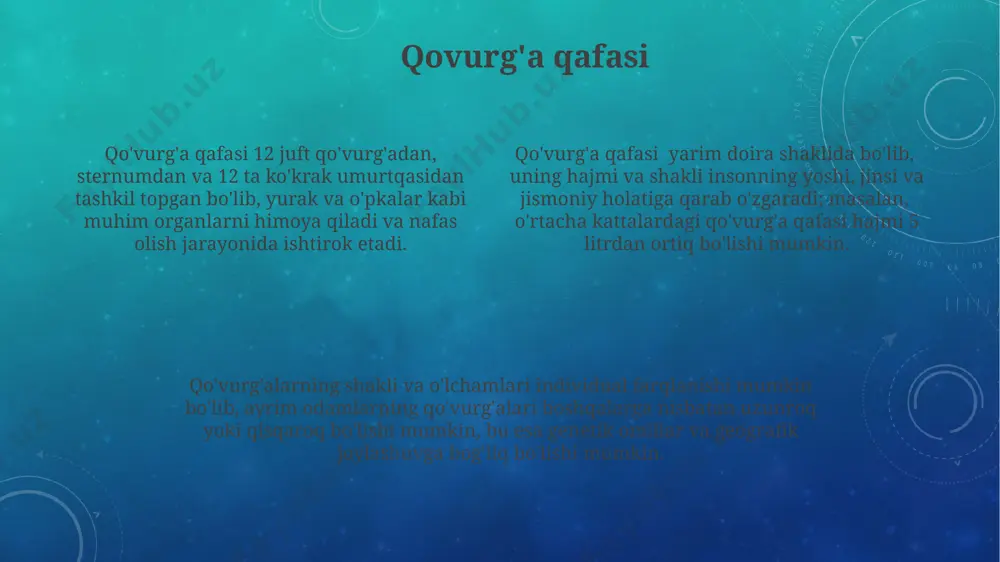 umurtqa pog'onasi - Page 4