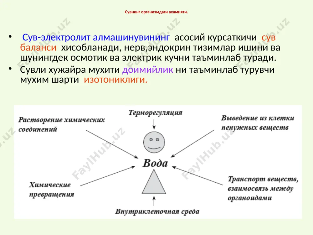 а суюклик микдори буйича хужара ташкари суюклиги осмолярлиги буйича локализацияси буйича гипоосмоляр изоосмоляр аралаш гиперосмоляр гипергидратация гипогидратация хужайрадан ташкари хужайравий сувсизланиш, сабаблари, куринишлари, патогенез сабаблари: сув киришининг бузилиши сувнинг куп микдорда чикиб кетиши экстремал пат. жараен сув ва туз тузлар вазиятлар организмда: - кусиш; - гипервентиляция; - кизилунгач торайиши; - диарея; - полиурия(кандсиз - кома; - полиурия; диабет); - бош мия касалликларида чанкок маркази бузилиши - кон йукотиш; - гиперсаливация - катта куйиш ; - кучли тер ажралиши - кутуриш касаллигида сувдан куркиш сувсизланиш куринишлари по изменению осмотического давления внеклеточного сектора изоосмоляр гиперосмоляр гипоосмоляр (изотоник) (гипертоник) (гипотоник) сув ва электролитлар сув йукотилиш устун электролит йуколиш эквивалент йукотилади устун уткир кон йукотиш -кандсиз диабет -диарея -болаларда гипервентиляция -куп кусиш -куп терлаш -болаларда гиперсаливация гиперосмоляр гипогидратация патогенези сув йукотиш устунлиги гиповолемия р осм. хужайра ичи сектори оцк,  ад, вязкости крови перемещение воды из клеток во внеклеточный сектор микроциркулция бузилиши обезвоживание и …