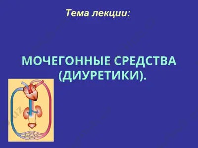 мочегонные средства (диуретики) — PPT