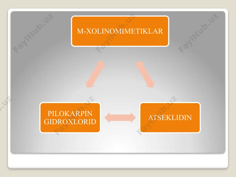 m-xolinoretseptorlarga’tasir etuvchi vositalar - Page 4