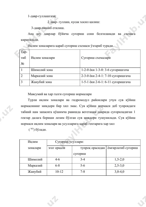 ни суғориш бу зонада ғўзани ўсув даврида 7-10 мартда суғориш лозим. асосий майдонда суғориш ер бетидан сув оқадиган эгатлар орқали ўтказилади, ёмғир ёғдириш усули билан суғориш эса фақат айрим далаларда қўлланилади. ўтлоқ- бўз тупроқ ва бўз- ўтлоқ тупроқли ерларда гидромодул районга қараб ўсув даврида ғûçà ãåêòàðèãà 4550 м3 дан 7000 м3 гача сув қуйиб 4 метрдан 7 метргача суғорилганда пахтадан етарли даражада мўл хосил олинади. жанубий зонада ғўзани суғориш жанубий зонада асосан ўсув даврида гектарига 8000 дан 10000 м3 гача сув қуйиб 6 мартадан 11 мартагача суғоришни талаб қиладиган кечпишар ва ингичка толали пахта етиштирилади. ингичка толали ғўзани суғориш режими бу зонада албатта гектарига 1200-1600 м3 норма билан сув қўйиб экиш олдидан суғоришни хисобга олишга асосланган. сурхондарё вилоятларига тақирсимон ерларда ингичка толали ғўзани 1-5-1 схема бўйича суғориш хўжаликларда қатор топган режимга 1-2-1 ёки 1-3-1 схемаси бўйича гектарига 1600-2400 м3 сув қўйиб суғориш ва 8400 м3 сув қуйиш нормаси билан 4-5 …