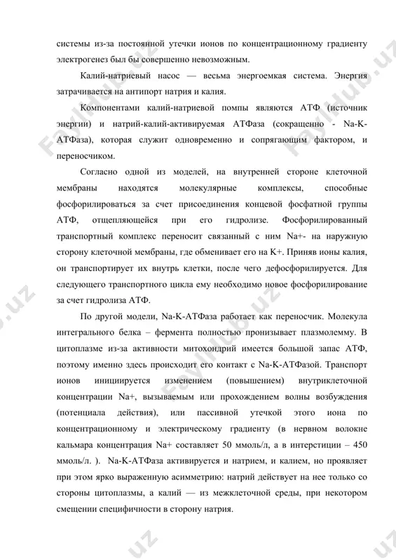 вируется и натрием, и калием, но проявляет при этом ярко выраженную асимметрию: натрий действует на нее только со стороны цитоплазмы, а калий — из межклеточной среды, при некотором смещении специфичности в сторону натрия. для встречного перемещения (антипорта) натрия и калия na-k-атфазой характерна стехиометрия, для аксона кальмара равная 3/2. это означает, что при гидролизе одной молекулы атф происходит транспорт трех ионов натрия (наружу) и двух ионов калия (внутрь клетки). потеря цитоплазмой трех положительных зарядов взамен двух несколько смещает мембранный потенциал (повышает электроотрицательность цитоплазмы), что обозначается как электрогенность ионного насоса. специфическим блокатором калий-натриевого насоса служит строфантин г (уабаин), который является ингибитором na-k-атфазы. даже в концентрации 10-7 моль/л уабаин подавляет ее активность на 50%. установлено, что лечебный эффект сердечных гликозидов (строфантина и дигитонина), применяемых при сердечной недостаточности, обусловлен их действием на калий-натриевый насос плазмолеммы миокардиальных волокон. калий-натриевая помпа локализована на мембранах практически всех клеток организма, но относительно много молекул – насосов имеется там, …