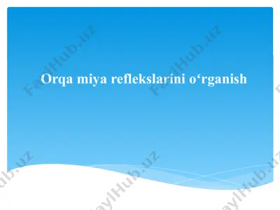 orqa miya reflekslarini oʻrganish — PPTX