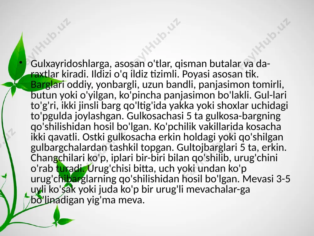 gulxayridoshlar oilasi. 6 - sinf - Page 5