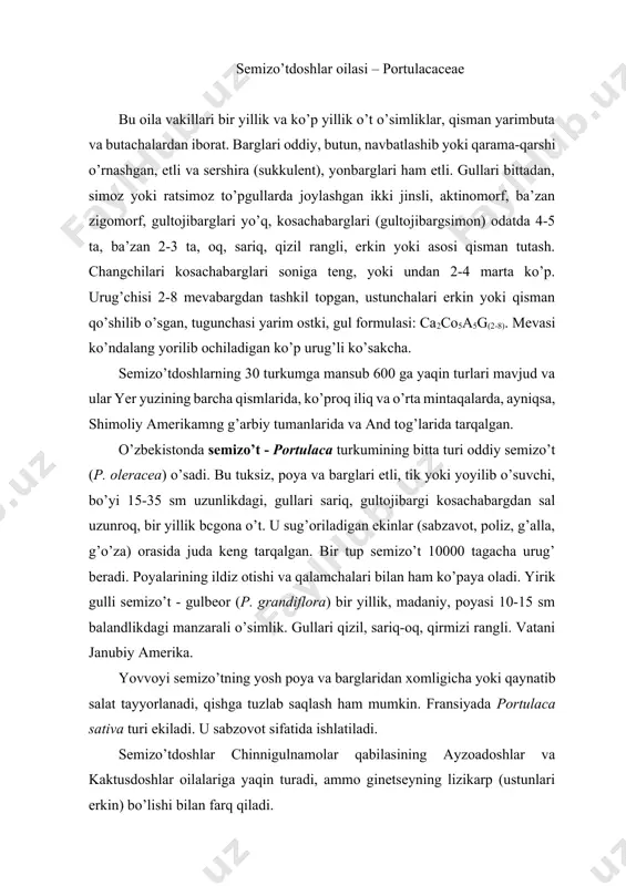 tayyorlanadi, qishga tuzlab saqlash ham mumkin. fransiyada portulaca sativa turi ekiladi. u sabzovot sifatida ishlatiladi. semizo’tdoshlar chinnigulnamolar qabilasining ayzoadoshlar va kaktusdoshlar oilalariga yaqin turadi, ammo ginetseyning lizikarp (ustunlari erkin) bo’lishi bilan farq qiladi. kaktusdoshlar oilasi – cactaceae oila asosan serct sukkulent o’t va buta, qisman daraxtlardan iborat. aksariyat ko’pchiligida barglari metamorfozga uchragan va tikanlar ko’rinishida saqlangan. ammo pereskiya (pereskia) va pereskiopsis (pereskiopsis) turkumlarida rosmana seret barglari bor, opunksiya (opuntia) turkumlarida esa ontogenezining dastlabki bosqichlarida mayda barglar hosil bo’ladi, ammo ular tezda tushib ketadi. poyalarining shakli har xil turkumlarida o’ziga xos tuzilishga ega, ular ustunsimon (sereuslarda, meksikada o’suvchi gigant sereus 20 metrgacha boradi), yassi, bargchasimon (opunksiya, epifillum), sharsimon (exinokaktus, mammillariya). poyalarining seret bo’lishi ularda suv g’amlovchi to’qimalarning kuchli rivojlanganligidandir. poyasining hajmi ancha katta. ildizlari yuza yoki chuqur joylashadi. gullari asosan bittadan, ba’zan poya uchida ro’vaksimon to’pgullar hosil qiladi (pereskia), qismlari spiral, spirotsiklik holda joylashgan, ikki jinsli, aktinomorf, ba’zan zigomorf. gullarining rangi …