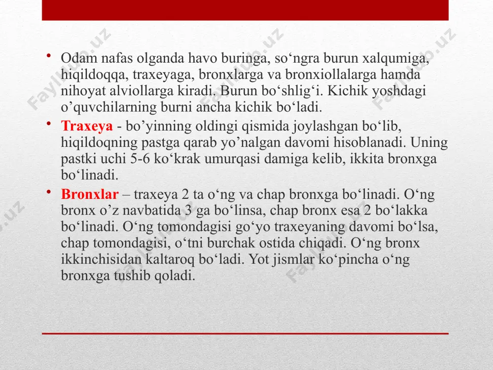 nafas tizimlarining yosh xususiyatlari va gigiyenasi - Page 4