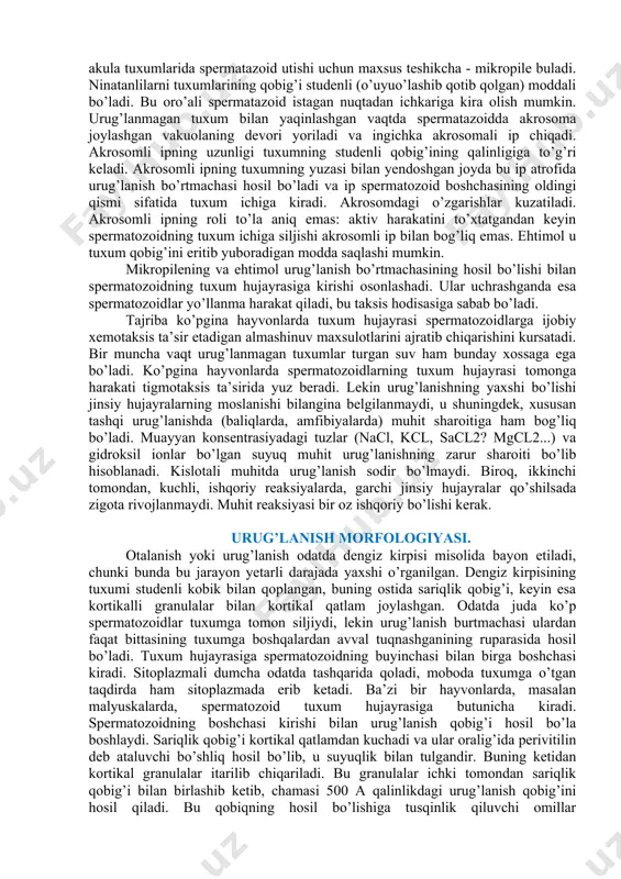 xossalariga ham taalluqli bo’lgan xiyla murakkab moslanishlar bilan qo’shiladi. bu moslanishlar juda xilma-xildir va organizmning barcha oldingi evolyusiyasi bilan bog’liqdir.masalan,miya qobiqlar bilan qoplangan xashoratlarda akula tuxumlarida spermatazoid utishi uchun maxsus teshikcha - mikropile buladi. ninatanlilarni tuxumlarining qobig’i studenli (o’uyuo’lashib qotib qolgan) moddali bo’ladi. bu oro’ali spermatazoid istagan nuqtadan ichkariga kira olish mumkin. urug’lanmagan tuxum bilan yaqinlashgan vaqtda spermatazoidda akrosoma joylashgan vakuolaning devori yoriladi va ingichka akrosomali ip chiqadi. akrosomli ipning uzunligi tuxumning studenli qobig’ining qalinligiga to’g’ri keladi. akrosomli ipning tuxumning yuzasi bilan yendoshgan joyda bu ip atrofida urug’lanish bo’rtmachasi hosil bo’ladi va ip spermatozoid boshchasining oldingi qismi sifatida tuxum ichiga kiradi. akrosomdagi o’zgarishlar kuzatiladi. akrosomli ipning roli to’la aniq emas: aktiv harakatini to’xtatgandan keyin spermatozoidning tuxum ichiga siljishi akrosomli ip bilan bog’liq emas. ehtimol u tuxum qobig’ini eritib yuboradigan modda saqlashi mumkin. mikropilening va ehtimol urug’lanish bo’rtmachasining hosil bo’lishi bilan spermatozoidning tuxum hujayrasiga kirishi osonlashadi. ular uchrashganda esa spermatozoidlar yo’llanma …