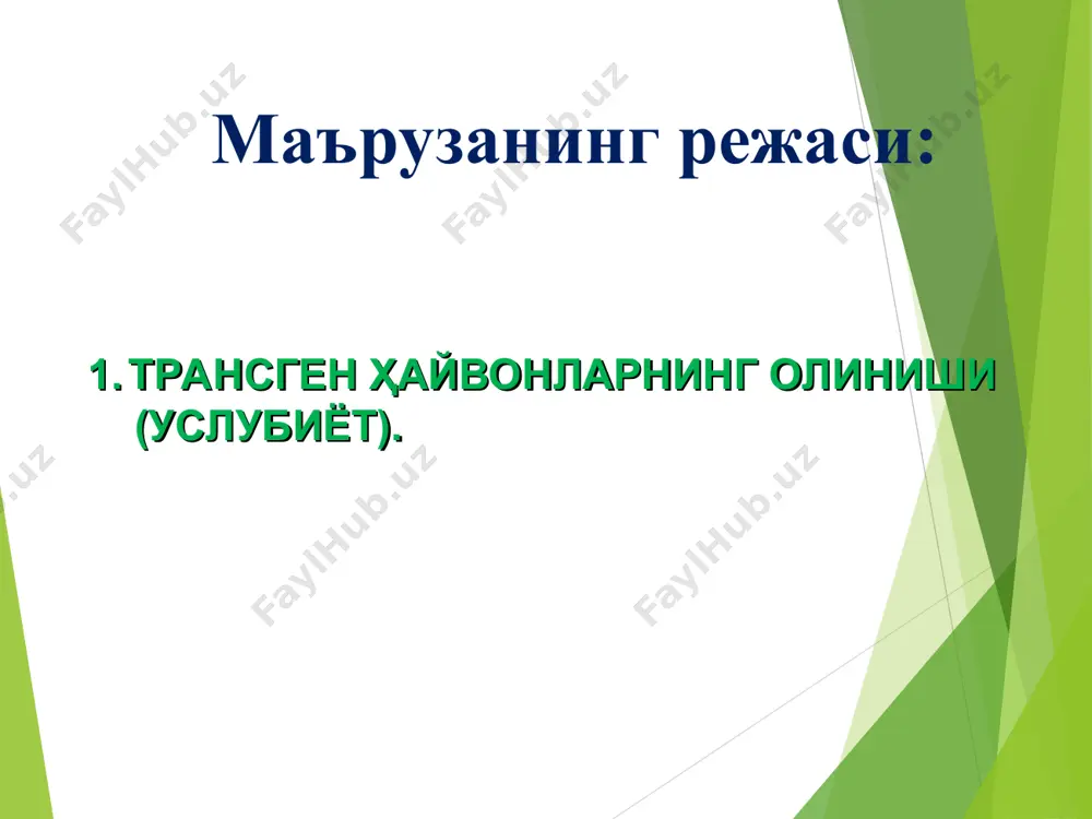 кция қилинади. урғочи сичқонга имплантация қилинган эмбриондан (суррогат энагадан) трансген авлод олинади. қора мол, чўчқа, қўй ва сичқоннинг оталанган ҳамма тухум ҳужайралари (100%) трансген билан инокуляция қилинди, аммо имплантация ҳамма вақт ҳам муваффақиятли кечмаган. трансгенли авлод бор-йўғи 5% ишлов берилган тухум ҳужайралардан ҳосил бўлган. микроинъекциядан сўнг трансгенознинг умумий самарадорлиги. ирсий ўзгартирилган эмбрионли ўзак (эў) ҳужайралар ёрдамида трансгенли сичқонларни олиниши. эў ҳужайралари сичқоннинг бластоцистасида ички ҳужайра массасидан ажратилиди. сўнгра уларга бегона гени бор векторлар ёрдамида трансформация қилинади, ўстирилади, ҳамда пзр ёрдамида селекция қилиниб аниқланади. ўстирилган трансформацияли ҳужайралар блостицидларга киритилиб, кейин «суррогат энага» бачадонига имплантация қилинади. ўзида трансген сақлаган сичқонлар яна чатиштирилиб, трансгенли сичқон линиялари олинади. трансгенли қорамоллар олиниши трансгенли қорамол олиш учун сичқонлардаги каби днк ни микроинъекция қилиш билан амалга оширилади. у қуйидаги босқичлардан иборат: ядрони кўчириб ўтказиш билан клонлар олиш трансгенли паррандалар олиниши алоҳида ажратилган бластодерма ҳужайраларига трансфекция қилиш билан трансгенли товуқларни олиниши. алоҳида ажратилган ҳужайраларга липосомалар ёрдамида трансгенни трансфекция …