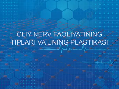 oliy nerv faoliyating turlari va uning plastikasi — PPTX