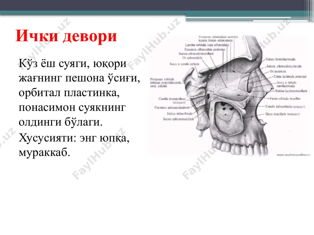 kўz kасаллиklari kаfudrаsi - Page 2