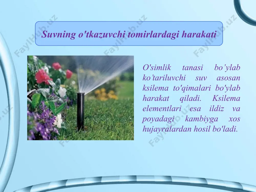 o\\'simliklarda suvning muvozanati - Page 4