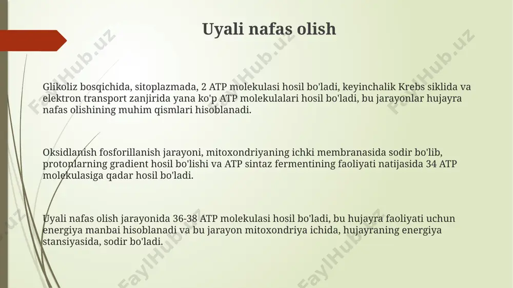 ida, shu jumladan, tog'li hududlarda ham kuzatiladi. odam metabolizmining asosiy qismi 37°c atrofida sodir bo'ladi va bu jarayonlarning samaradorligi 40% dan oshmaydi, bu esa energiya yo'qotilishiga olib keladi. bu esa organizmning issiqlik hosil qilishini tushunishda muhim ahamiyatga ega. mitoxondriya, hujayraning energiya markazi hisoblanib, atp sintezi orqali 32-34 ta atp molekulasini hosil qiladi va bu jarayon hujayra nafas olishining yakuniy bosqichida, ya'ni elektron transport zanjirida sodir bo'ladi. atf sintezi atf sintezida 32 ta atp molekulasi hosil bo'ladi, bu hujayra uchun energiya manbai hisoblanadi va bu jarayon mitoxondriyada, xususan, elektron transport zanjirida sodir bo'ladi. atf sintezi uchun zarur bo'lgan fermentlarning 70% dan ortig'i mitoxondriya ichki membranasida joylashgan bo'lib, bu esa energetik jarayonlarning samaradorligini ta'minlaydi. atf sintezining inhibisyonini o'rganishda, masalan, oligomitsin kabi moddalar 50% ga atf hosil bo'lishini kamaytirishi mumkin, bu esa hujayra ishlashiga salbiy ta'sir ko'rsatadi. bioenergetika nima? биоэнергетика 1900-yillarning boshlarida germaniyada paydo bo'lgan va inson tanasidagi energiya oqimlarini o'rganadigan fan sohasi …