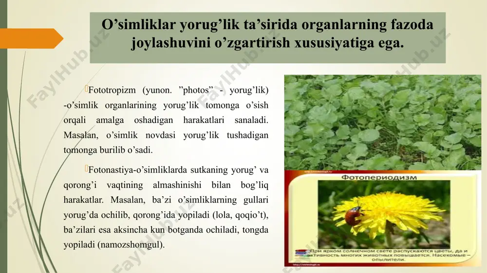 yarovizatsiya va fotoperiodizm - Page 5
