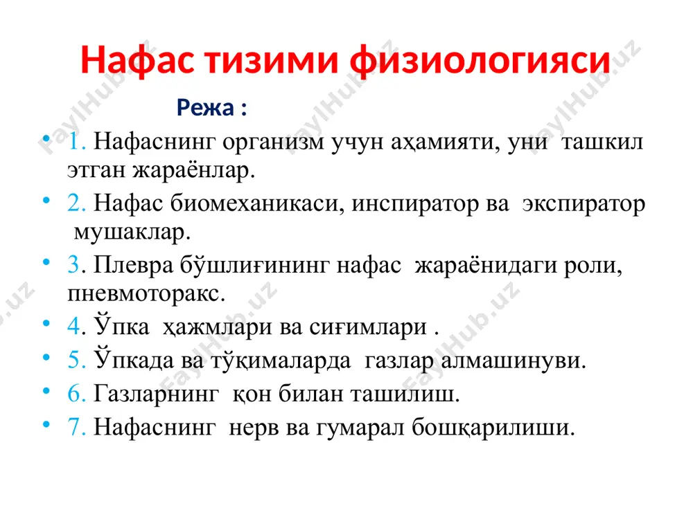 о ва қон айланиши кичик доираси капиллярларидаги қон орасида ). газларнинг қон орқали ташилиши. тўқималарда газлар алмашинуви (қон айланиш катта доираси капиллярларидаги қон ва тўқималар ҳужайралари орасида) ички нафас (ҳужайралар митохандрияларида биологик оксидланиш нафас босқичлари атмосфера ҳавоси ташқи нафас газларни қонда ташилиши тўкима нафаси алвеоляр ҳаво артериал қон веноз қон тўқима нафас чиқариш нафас олиш нафас биомеханизми кўкрак қафаси ҳажмини ўзгартирувчи икки биоме-ханизм мавжуд: қовурғалар кўтарилиши ва пастга туширилиши ҳамда диафрагма гумбазининг ҳара-катлари. иккала биомеханизм ҳам нафас мушак-лари томонидан амалга оширилади. нафас мушак-лари инспиратор ва экпиратор мушакларга бўлинади. кўкрак қафаси ҳажмининг ўзгариши нафас мушаклари қисқариши ҳисобига амалга ошади. тинч нафасда нафас чиқариш нофаол, бундан олдинги нафас олиш вақтида йиғилган эластик энергия ҳисобига содир бўлади нафас олиш ва чиқаришда иштирок этадиган мускуллар нафас олишда иштирок этадиган мускуллар нафас чиқаришда иштирок этадиган мускуллар тинч турганда чуқур нафас олганда тинч турганда чуқур нафас чиқарганда диафрагма ташқи қобирғалараро тоғайлараро нарвонсимон, катта ва кичик кўкрак, …