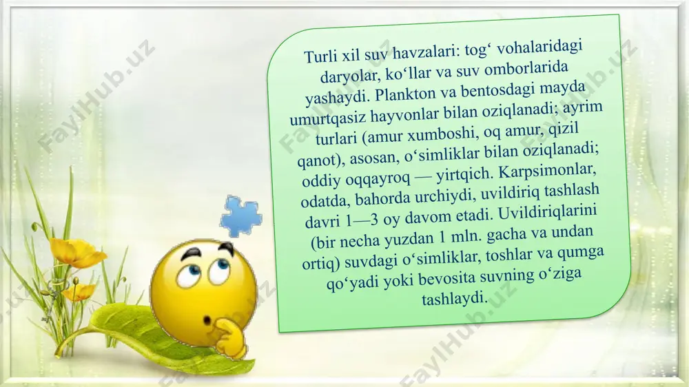 della) — karpsimonlar oilasiga mansub nurli suzuvchi baliqlar turkumiga mansub yagona tur. maksimal tana uzunligi 150 sm chuchuk suvdas yashaydi, o'txo'r baliq. mahalliy hududi sharqiy osiyoda amur daryosi havzasida va xitoyning pasttekislik daryolarida joylashgan. dunyoning ko'plab mamlakatlariga yetishtiriladidi. qimmatbaho tijorat baliqlari hisoblanadi. baliq savdosi va ishlab chiqarish bo'yicha dunyoda birinchi o'rinda turadi. xumbosh baliqlar (hypophalmichthynae) — karpsimonlar oilasiga mansub chuchuk suv baliqlari kenja oilasi. uzunligi 1 m gacha vazni 20–35 kg. jabra pardalari baʼzan oʻzaro qoʻshilib oʻsib, toʻr hosil kiladi. peshonasi nisbatan baland (nomi shundan). 2 turi maʼlum. sharqiy va jan.sharkiy osiyo daryolarida yashaydi. 5—7 yilda jinsiy voyaga yetadi. yozda suv toshganida 490—560 ming uvildiriq tashlaydi. yosh baliqlar dastlab zooplankton, keyinroq fitoplankton bilan (oq xumbosh baliqlar) yoki aralash oziqlanishga oʻtadi (chinor xumbosh baliqlar) xumbosh baliqlar koʻpchilik mamlakatlarda iqlimlashtirilgan. amur, yaʼni oq xumbosh baliqlar oʻzbekiston suv havzalarida ham iqlimlashtirilgan. xumbosh baliqlar ov obʼyekti, hovuzlarda ham boqiladi. oqcha baliqlar (abramis) - karpsimonlar …
