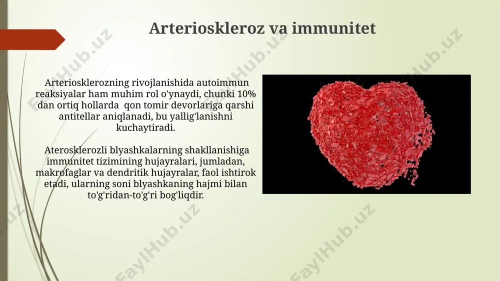yurak qon tomirlar sistemasi immun ximoya - Page 3