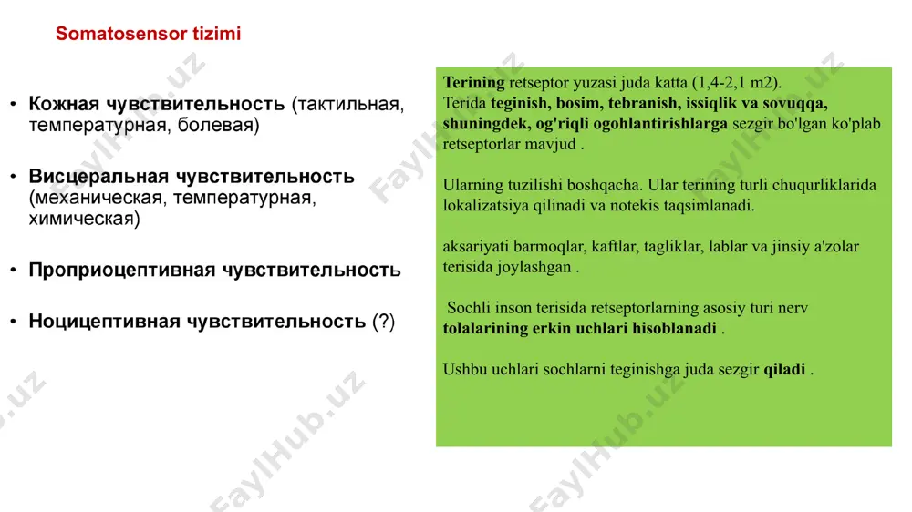 ksiga (differentsial proektsiyalar) yuboriladi . talamusning ventral nonspesifik yadrolari, ichki genikulyar tanasi, yadrolari miya sopi va gipotalamusga kelsak . joylashgan spinotalamik traktning uchinchi neyronlari korteksning somatosensor zonasiga faqat qisman proektsiyalarni beradi. spinotalamik trakt haroratni, barcha og'riqlarni va ko'p darajada taktil sezuvchanlikni uzatishga lemniskal yo'lning kortikal qismi aniq topografik tashkilot bilan tavsiflanadi , ya'ni teri sirtining proektsiyasi miya yarim korteksiga "nuqtadan nuqtaga" tamoyiliga muvofiq amalga oshiriladi . bunday holda, tananing ma'lum bir qismining kortikal vakillik maydoni uning funktsional ahamiyati bilan belgilanadi: hissiy homunculus deb ataladigan narsa hosil bo'ladi. og'riqni qabul qilish (nosiseptiv). har qanday haddan tashqari kuchli va zararli agentlarning ta'siridan xavf tez og'riq hissi rag'batlantirishdan 0,1 sek keyin sodir bo'ladi kesish pirsing pichoqlash o'tkir (igna teshilishi, kesish, kuyish uchun) og'riq retseptorlaridan orqa miyagacha og'riq signallari tolalar bo'ylab uzatiladi a d (6-30 m/s) sekin og'riq hissi rag'batlantirishdan 1 soniya o'tgach sodir bo'ladi yonayotgan soqov pulsatsiyalanuvchi portlash surunkali (to'qimalarni yo'q qilish bilan …